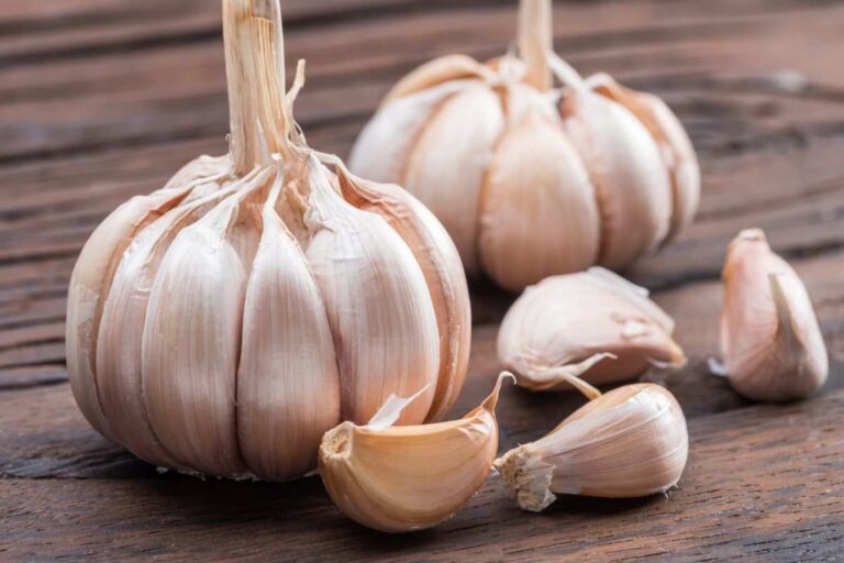 teste d'aglio su tavolo