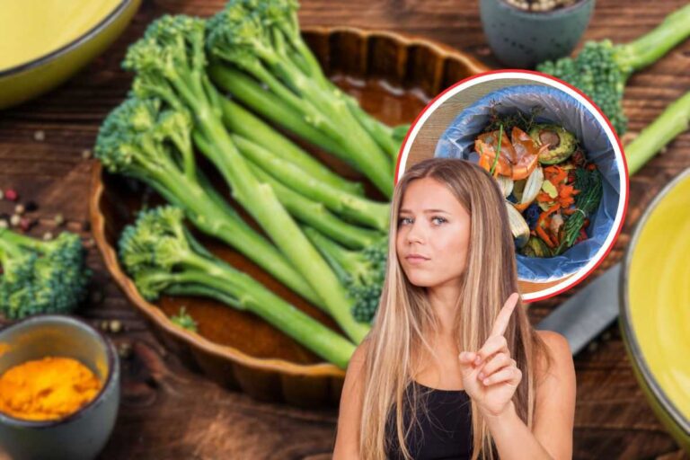 gambo dei broccoli , pattumiera dell'umido e donna che dice no