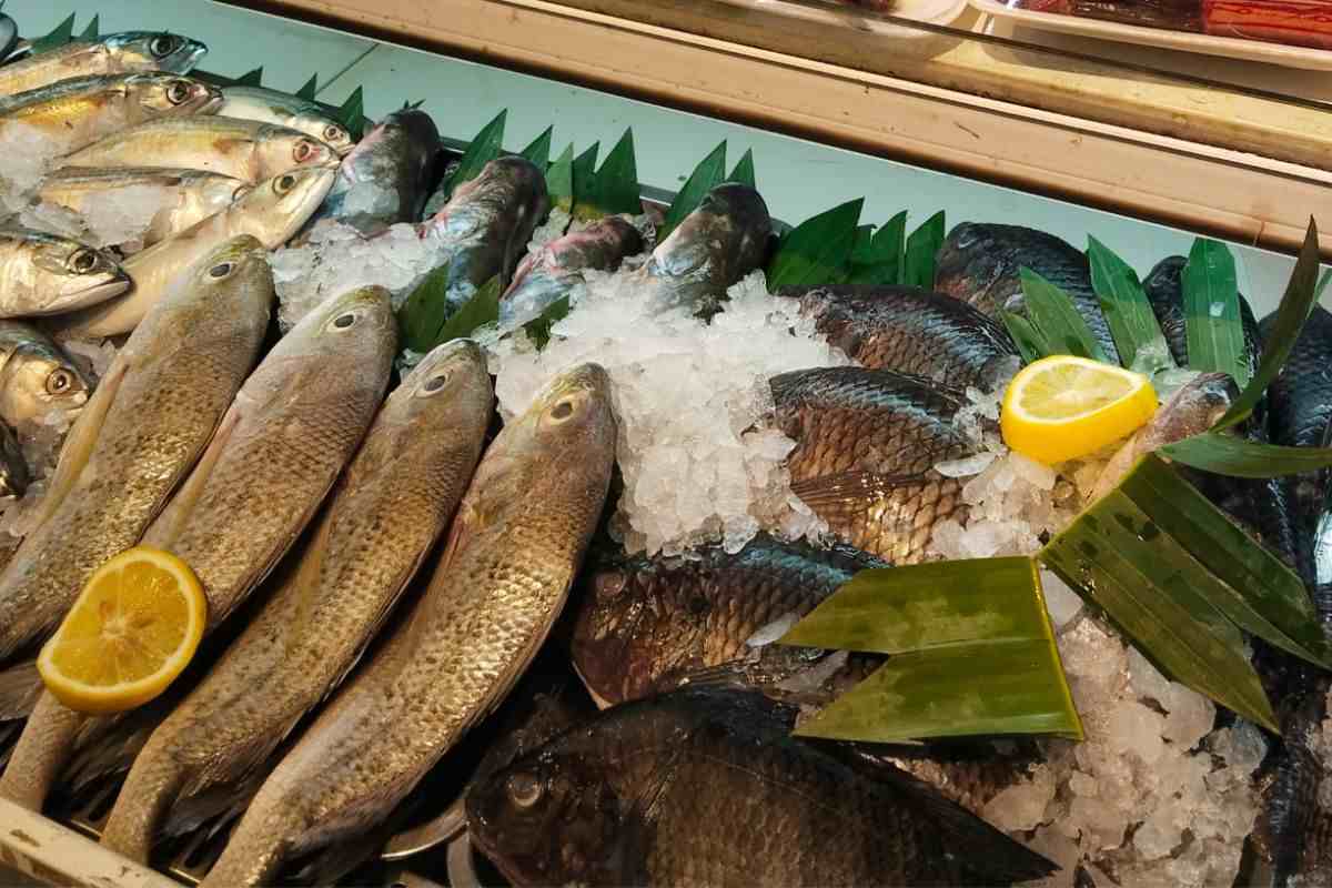 Né salmone né tonno rosso: questo è il pesce che fa davvero bene e costa pochissimo