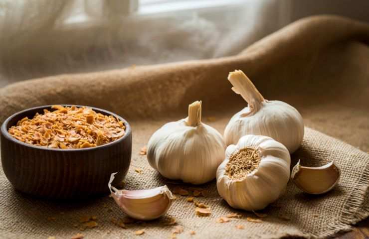 teste d'aglio e aglio tritato in ciotola 